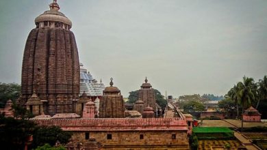 Shri_Jagannath_Templeown