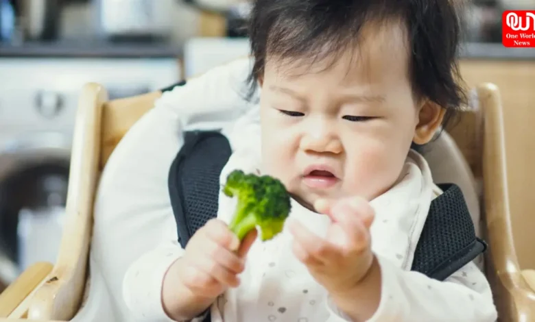 Eat Vegetables