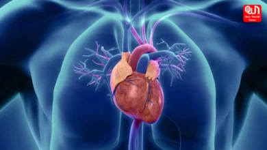 Heart Blockage