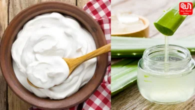 Malai or Aloe Vera