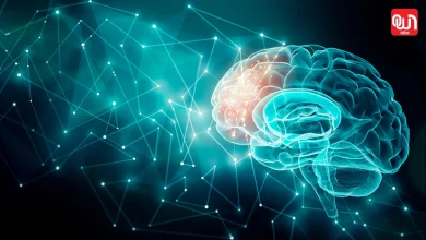 Brain Health