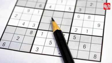 International Sudoku Day