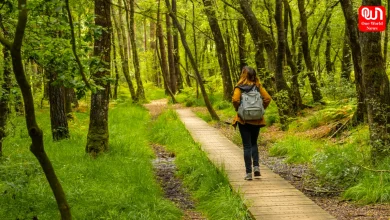 Nature Walks