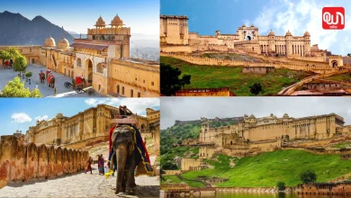 Amer Fort visit time