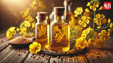 Canola Oil