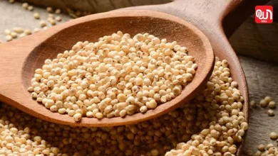 Health benefits of jowar