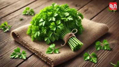 Parsley Benefits