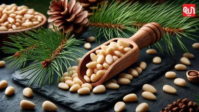 Pine Nuts Benefits