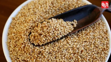 Sesame Seeds