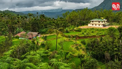Village Tourism