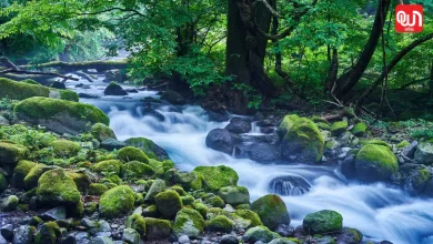 World Rivers Day