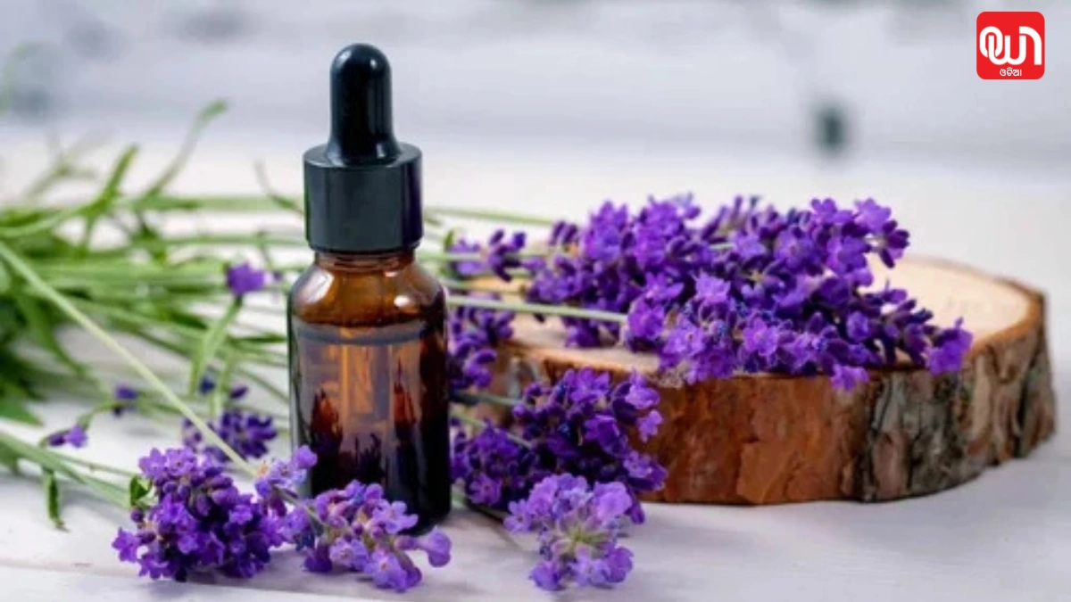 Aroma Healing