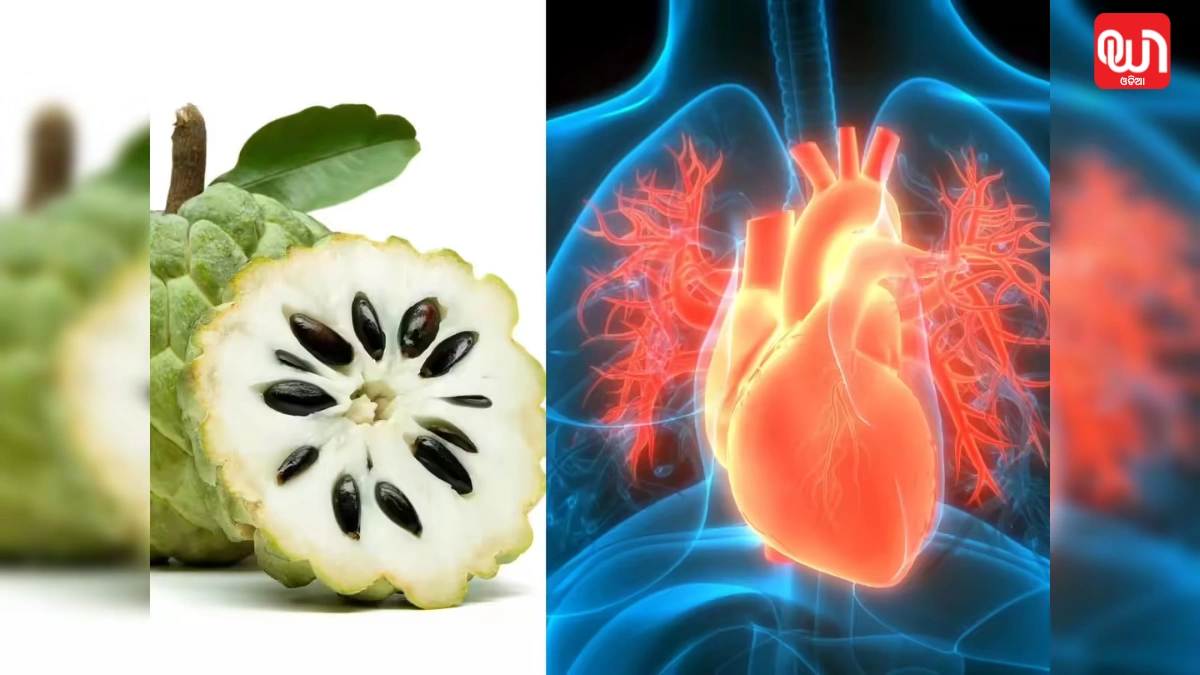 Custard Apple Benefits