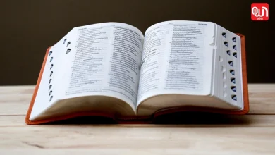 Dictionary Day