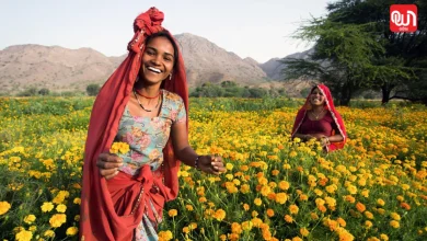 International Day of Rural Women