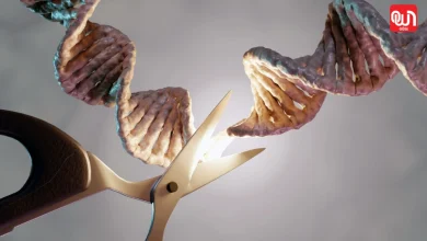 World CRISPR Day