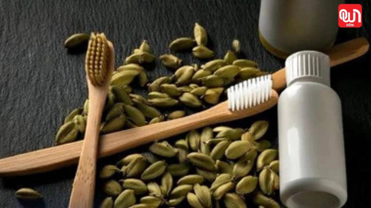 Benefits Of Eating Cardamom Daily