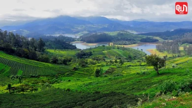 Best AQI Destination In India