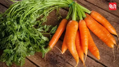 Carrot Leaves Benefits