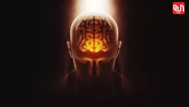 Brain Stroke Prevention