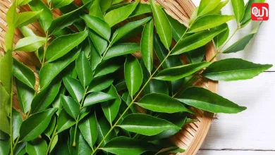 Curry Leaves