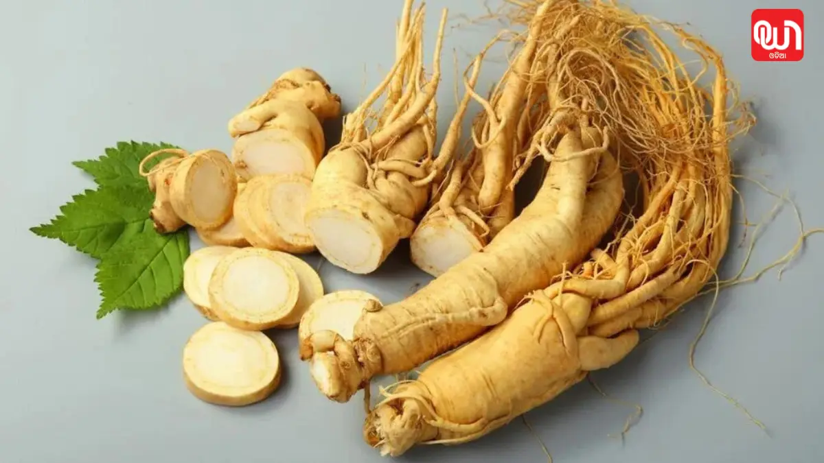 Ginseng health benefits