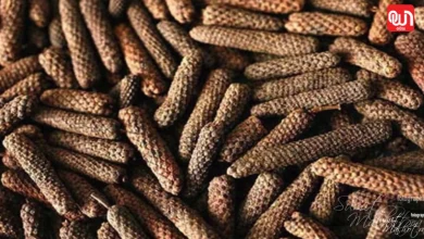 Long Pepper Benefits For Kids