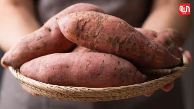 Sweet Potato Benefits