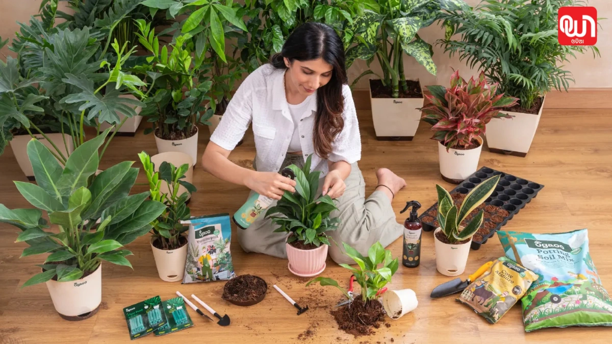 Winter Gardening Tips