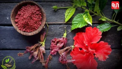 Hibiscus Powder Hair Mask