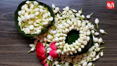 Mogra Flowers Reuse Hacks