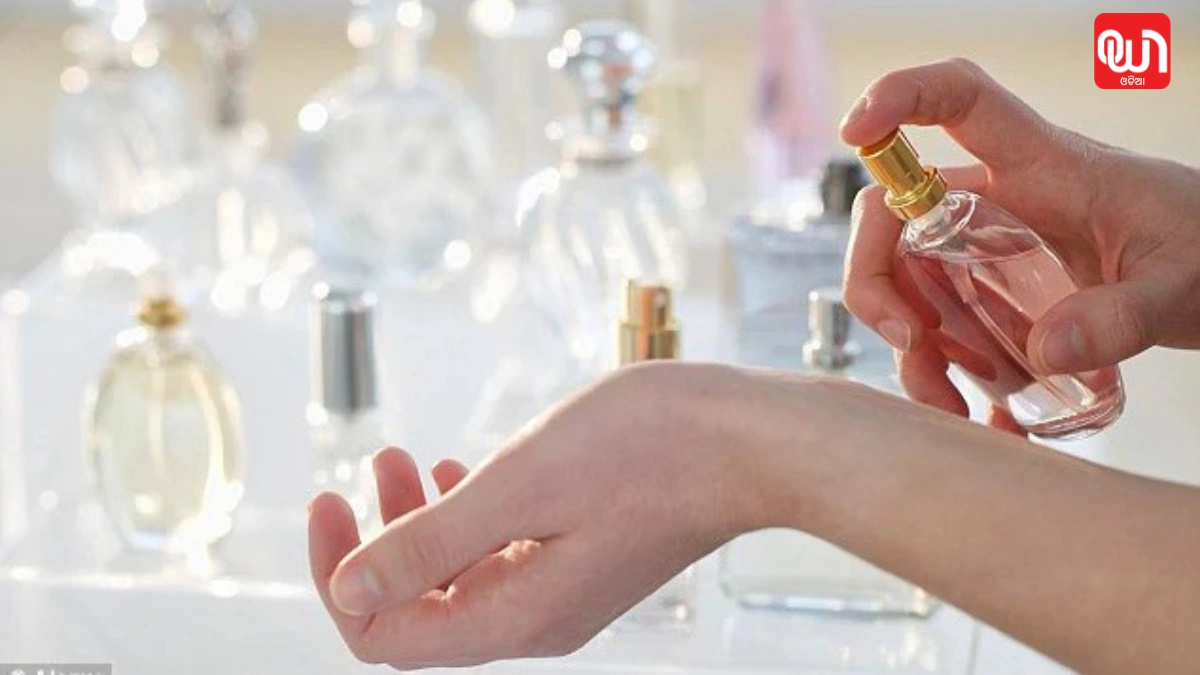 Scent Layering
