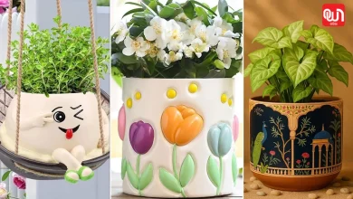 Ceramic Cup Planter