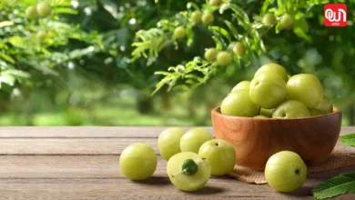 Amla Benefits for Skin