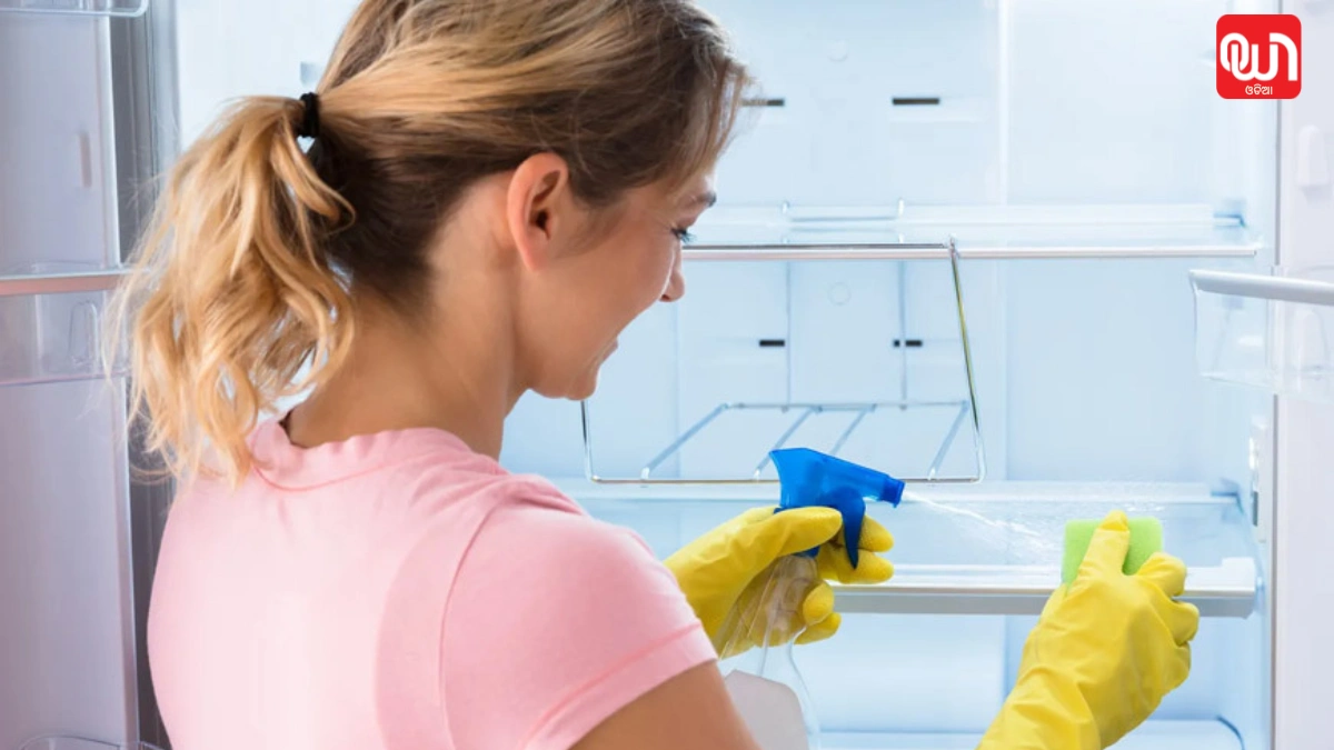Fridge Cleaning Tips