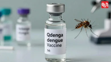 Qdenga
