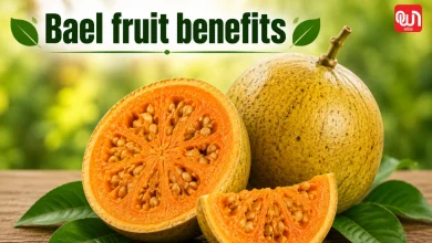 Bael fruit benefits