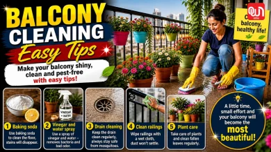 Balcony Cleaning Hacks