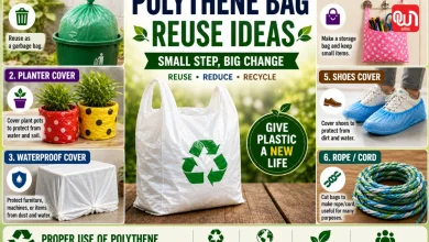 Polythene Bag Reuse Ideas