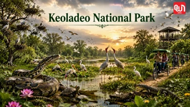 Keoladeo National Park