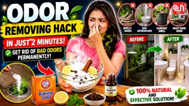 Odor Removing Hack