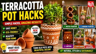 Terracotta Pot Hacks