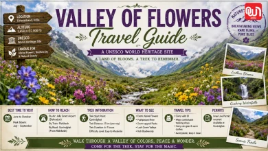Valley Of Flowers Travel Guide