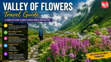 Valley Of Flowers Travel Guide