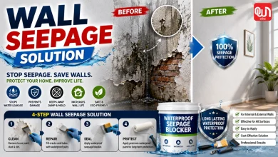 Wall Seepage Solution