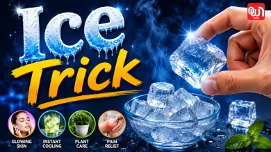 Ice Trick