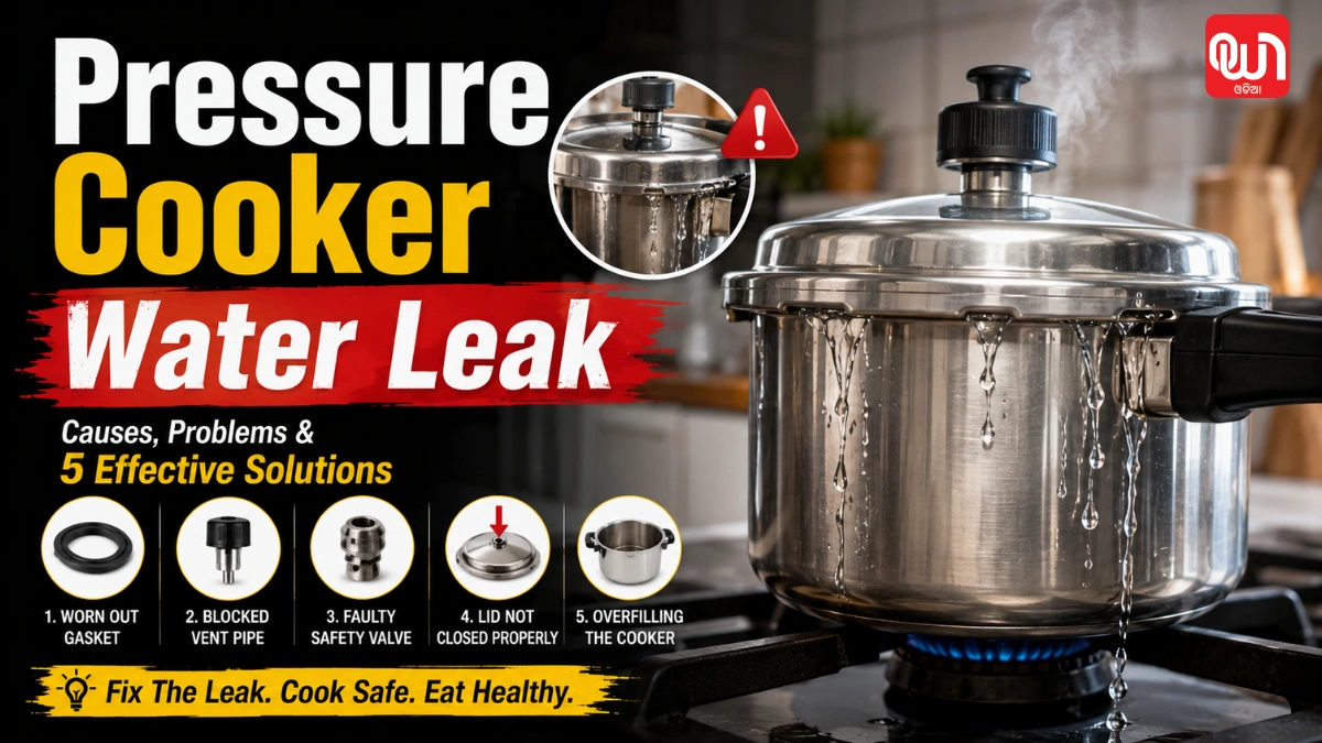Pressure Cooker Water Leak