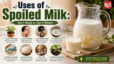 Uses of Spoiled Milk